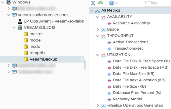 SQL databases reported by EpOps agent