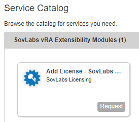 New Add License catalog item appears