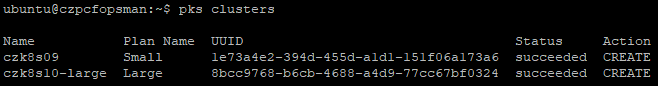 &lt;code&gt;pks clusters&lt;/code&gt; output