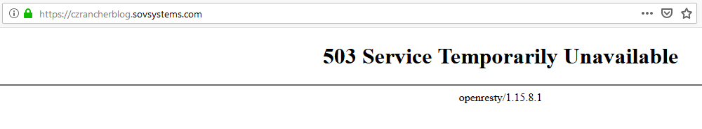 503 error